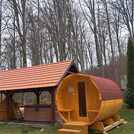 Sebesviz Panzio Bed & Breakfast Repashuta Dış mekan fotoğraf