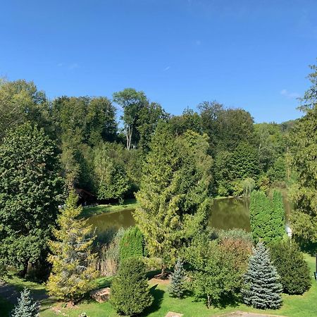 Sebesviz Panzio Bed & Breakfast Repashuta Dış mekan fotoğraf