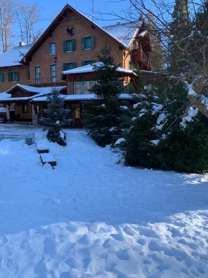 Sebesviz Panzio Bed & Breakfast Repashuta Dış mekan fotoğraf