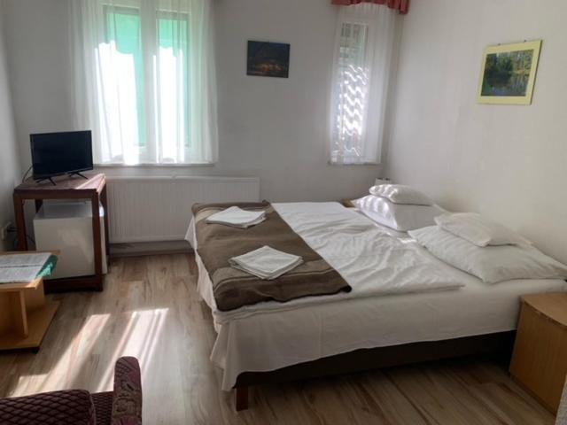 Sebesviz Panzio Bed & Breakfast Repashuta Dış mekan fotoğraf