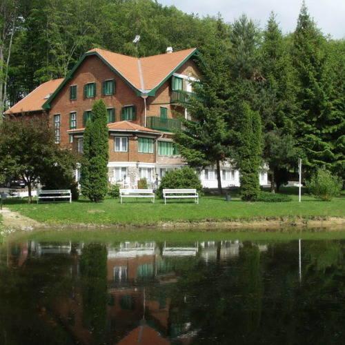 Sebesviz Panzio Bed & Breakfast Repashuta Dış mekan fotoğraf
