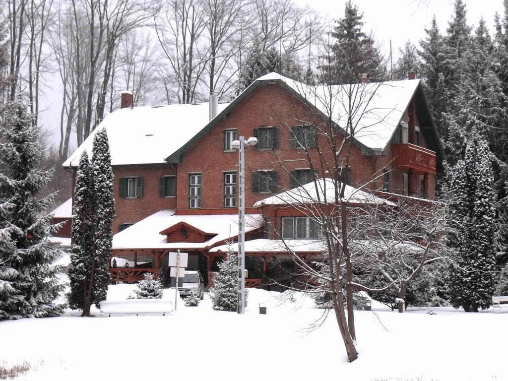 Sebesviz Panzio Bed & Breakfast Repashuta Dış mekan fotoğraf