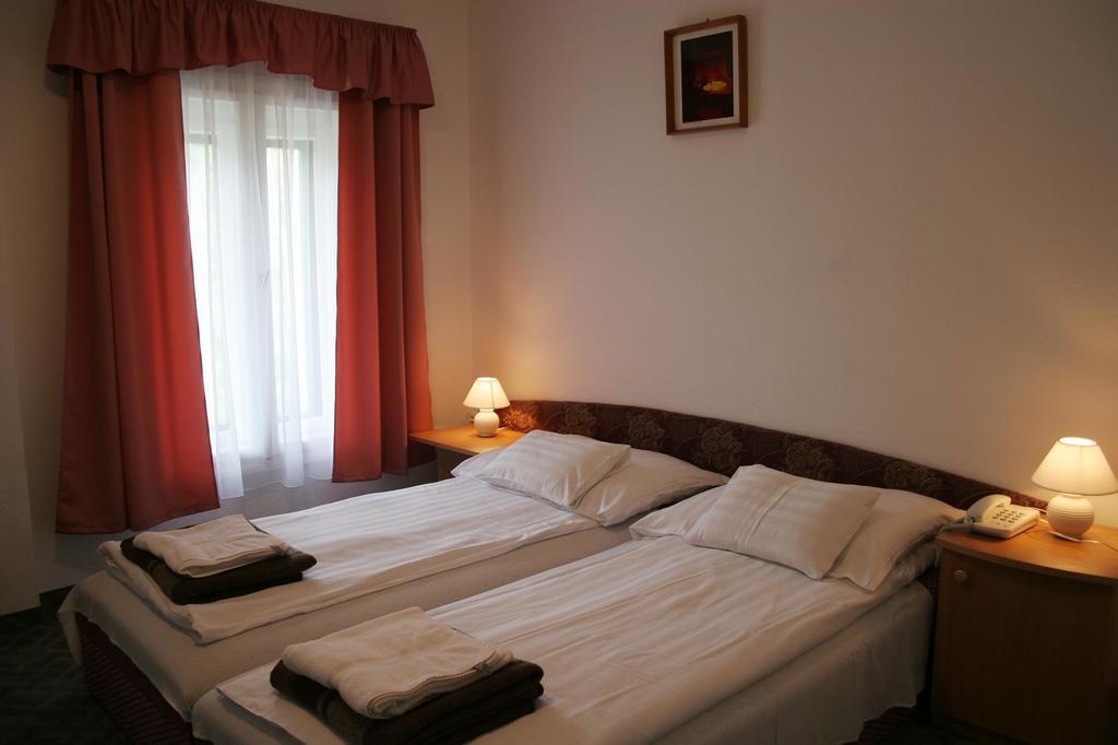 Sebesviz Panzio Bed & Breakfast Repashuta Dış mekan fotoğraf