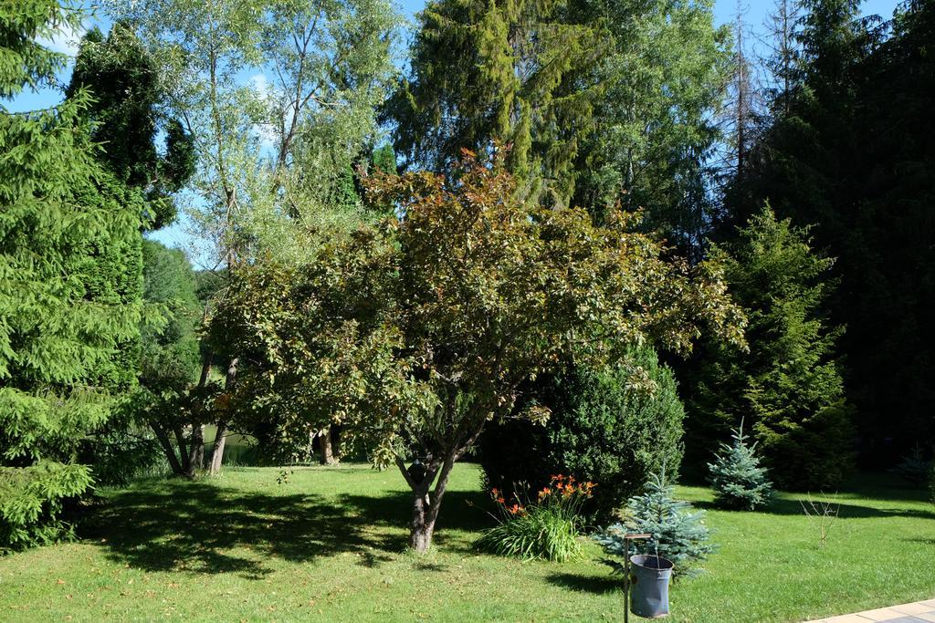 Sebesviz Panzio Bed & Breakfast Repashuta Dış mekan fotoğraf