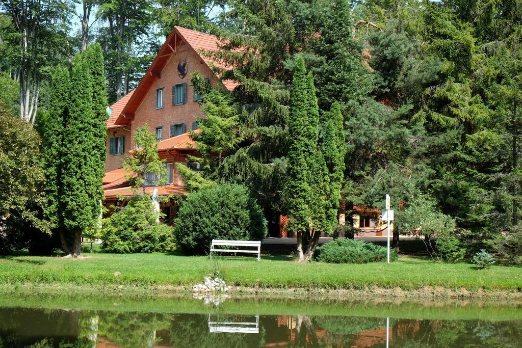 Sebesviz Panzio Bed & Breakfast Repashuta Dış mekan fotoğraf